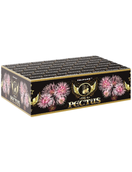 Ohňostroj PECTUS 116rán 45sec