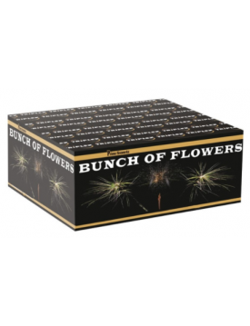 Kompakt BUNCH POF FLOWERS 138rán 60sec